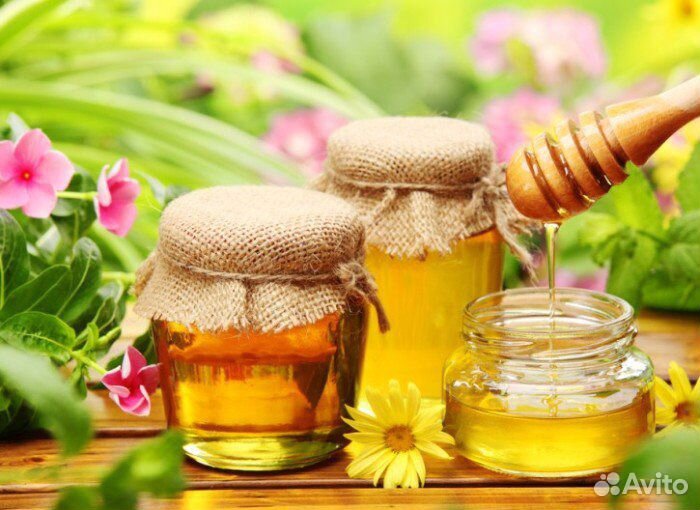 Вкусный мёд купить на Зозу.ру - фотография № 1