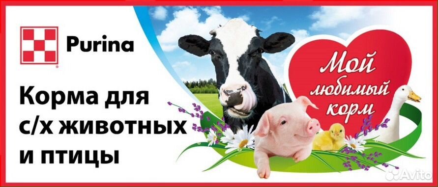 Комбикорм Purina для с/х птицы и животных купить на Зозу.ру - фотография № 2
