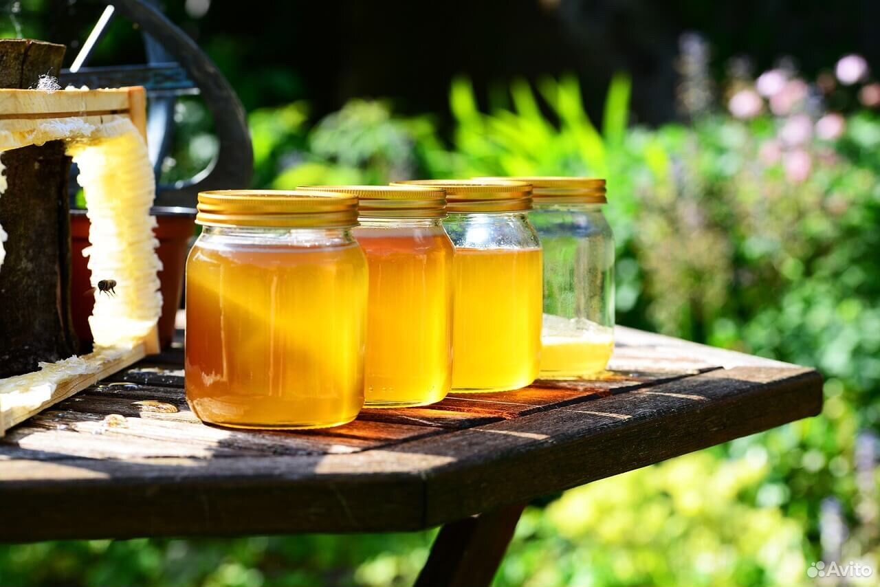 Мёд, сотовый мёд, пыльца, перга, пчелосемьи купить на Зозу.ру - фотография № 1
