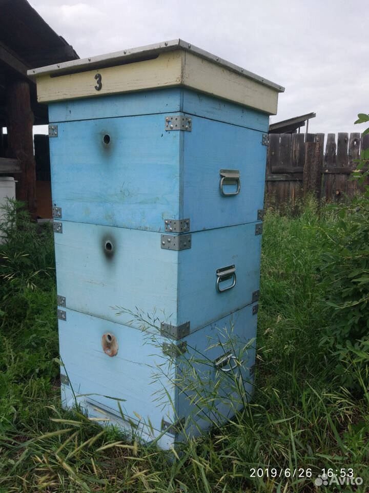 Оборудование для пчеловодства купить на Зозу.ру - фотография № 1