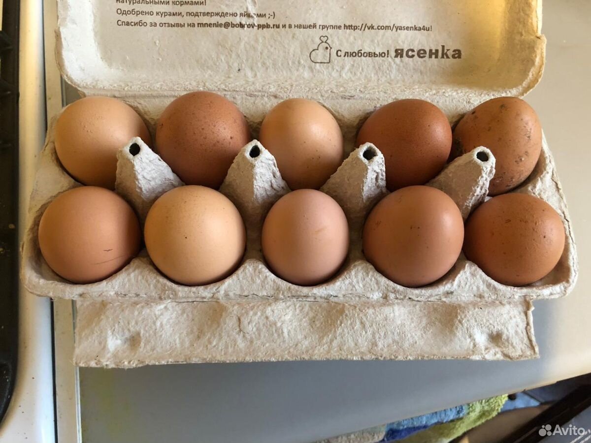 Купить яйцо смоленск