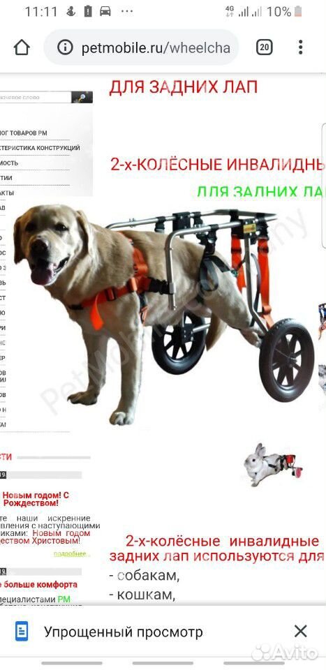 Инвалидная коляска для собак (тележка) купить на Зозу.ру - фотография № 1