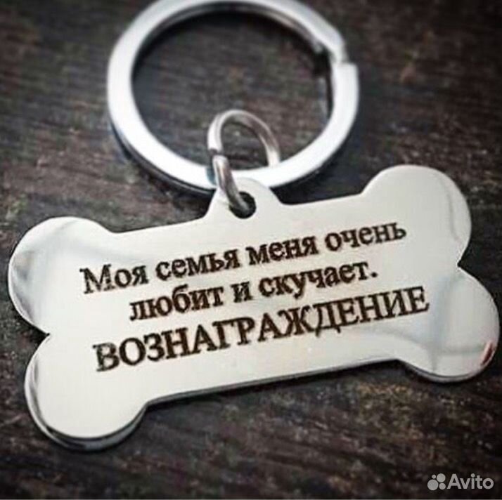 Надписи на адресники для собак. Надпись на адреснике. Смешные адресники. Прикольные адресники для собак надписи. Надпись на адреснике для собак.