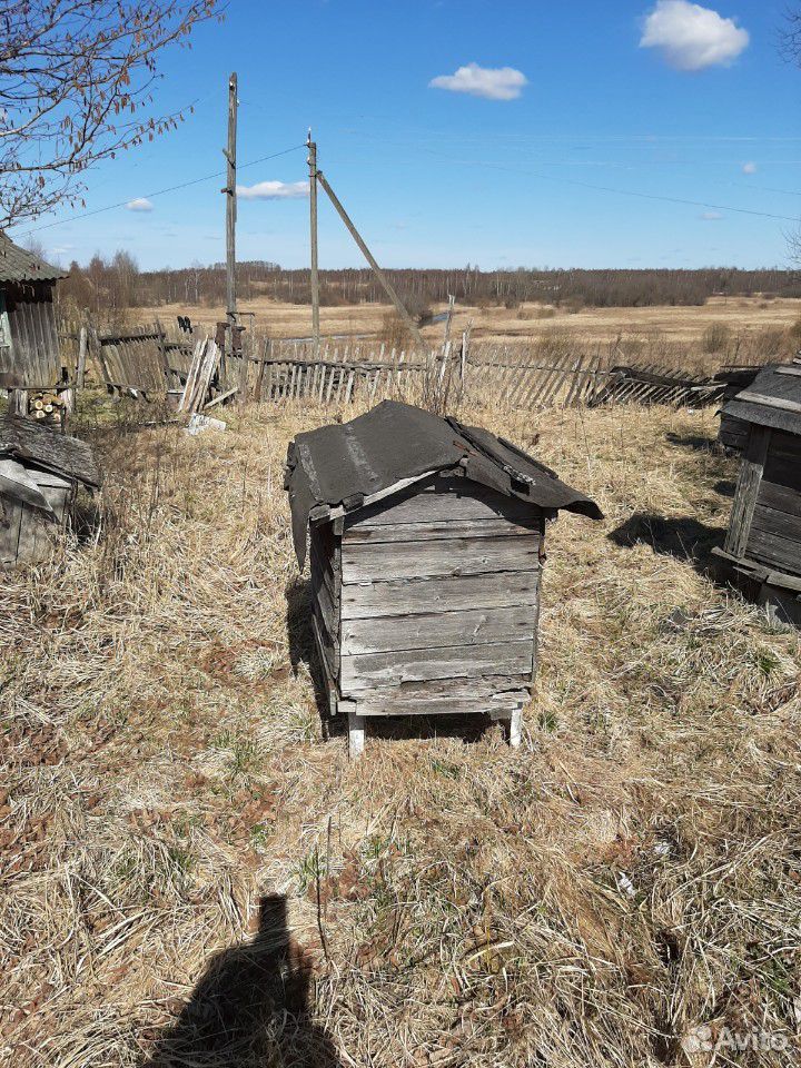 Продам все для пчеловодства купить на Зозу.ру - фотография № 5