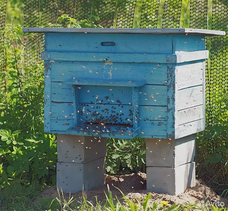 Улей для пчёл в хорошем состоянии, деревянный купить на Зозу.ру - фотография № 1