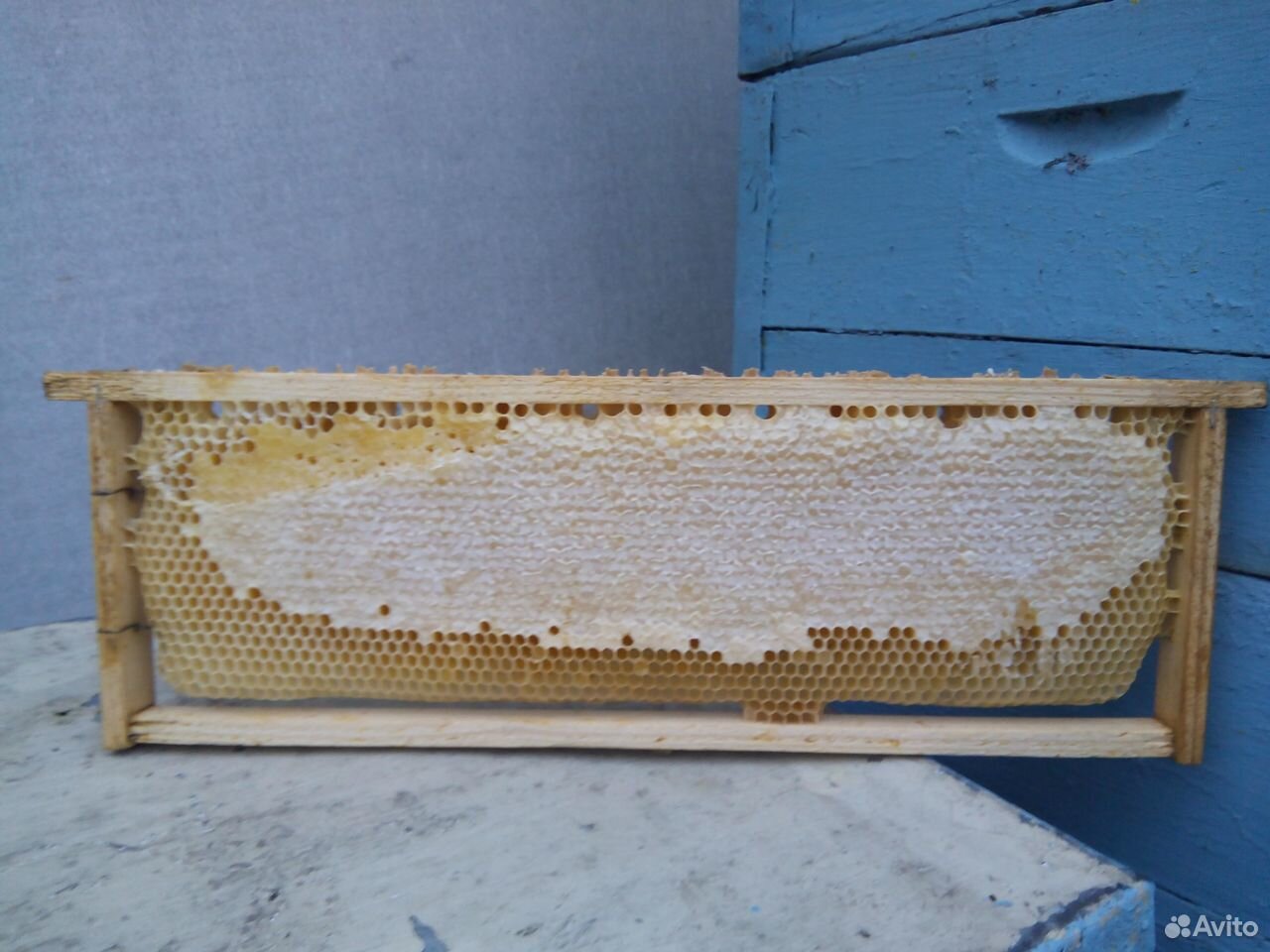 Рамки для пчёл | Взгляд на вещи