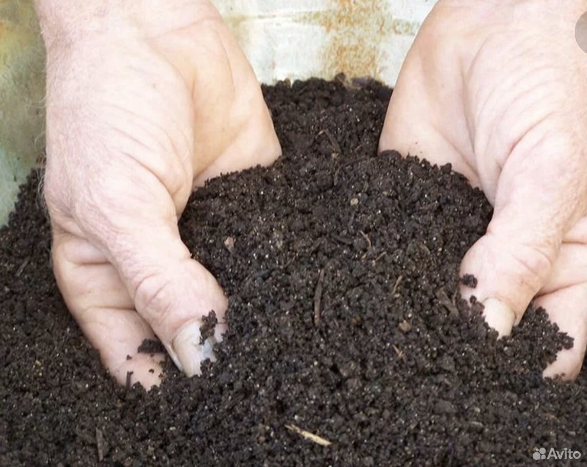 Перегной это. Compost удобрение. Перегной гумус. Перепревший компост. Гумус торфяной гумогель.