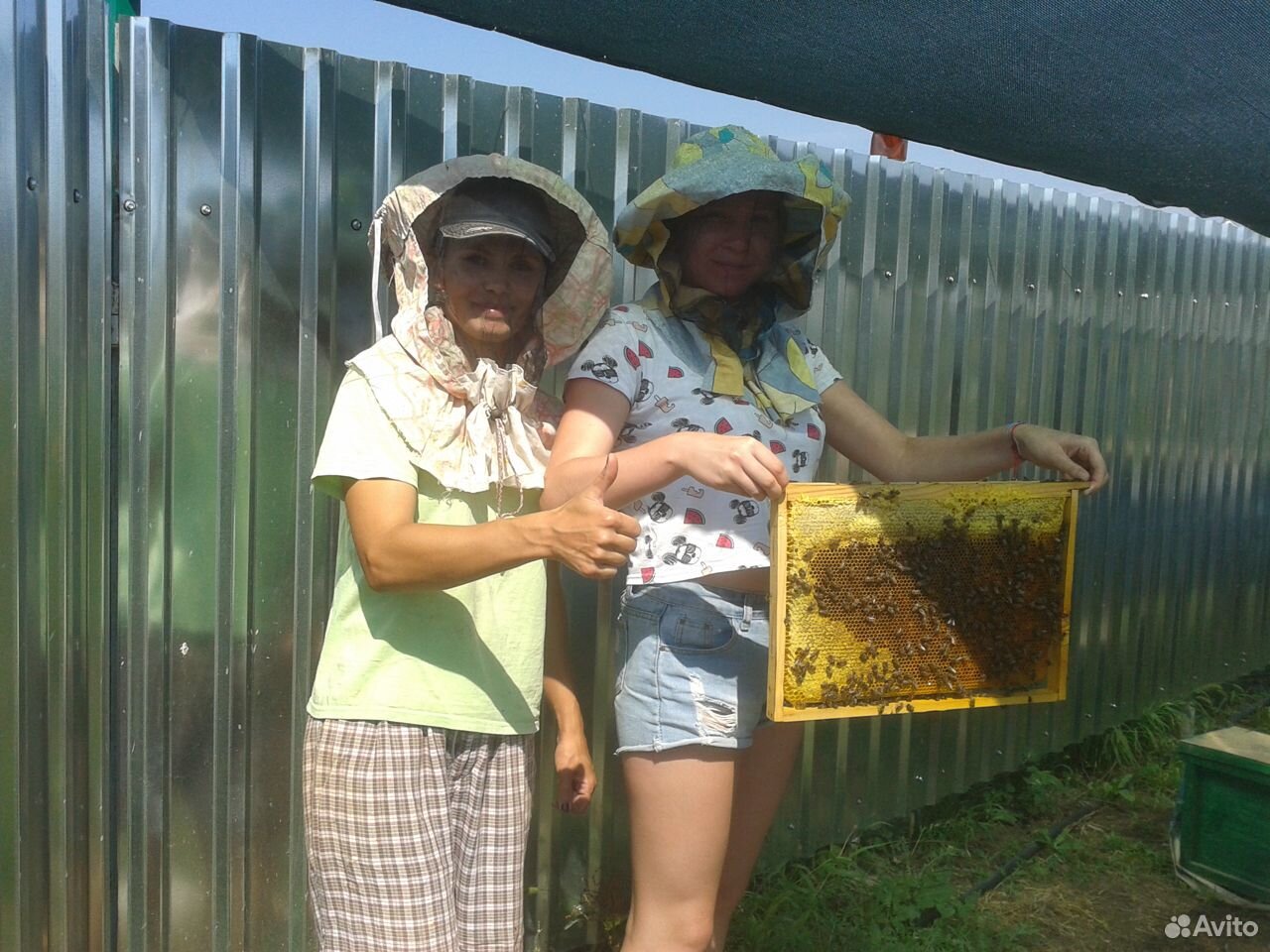 Продам 1 улей лежак с пчелами 2020г купить на Зозу.ру - фотография № 1