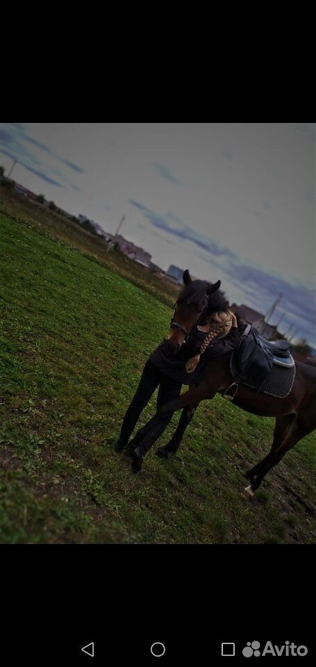 Лошадь, мерен с амуницией купить на Зозу.ру - фотография № 6