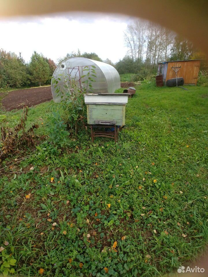 Для пчёл купить на Зозу.ру - фотография № 4