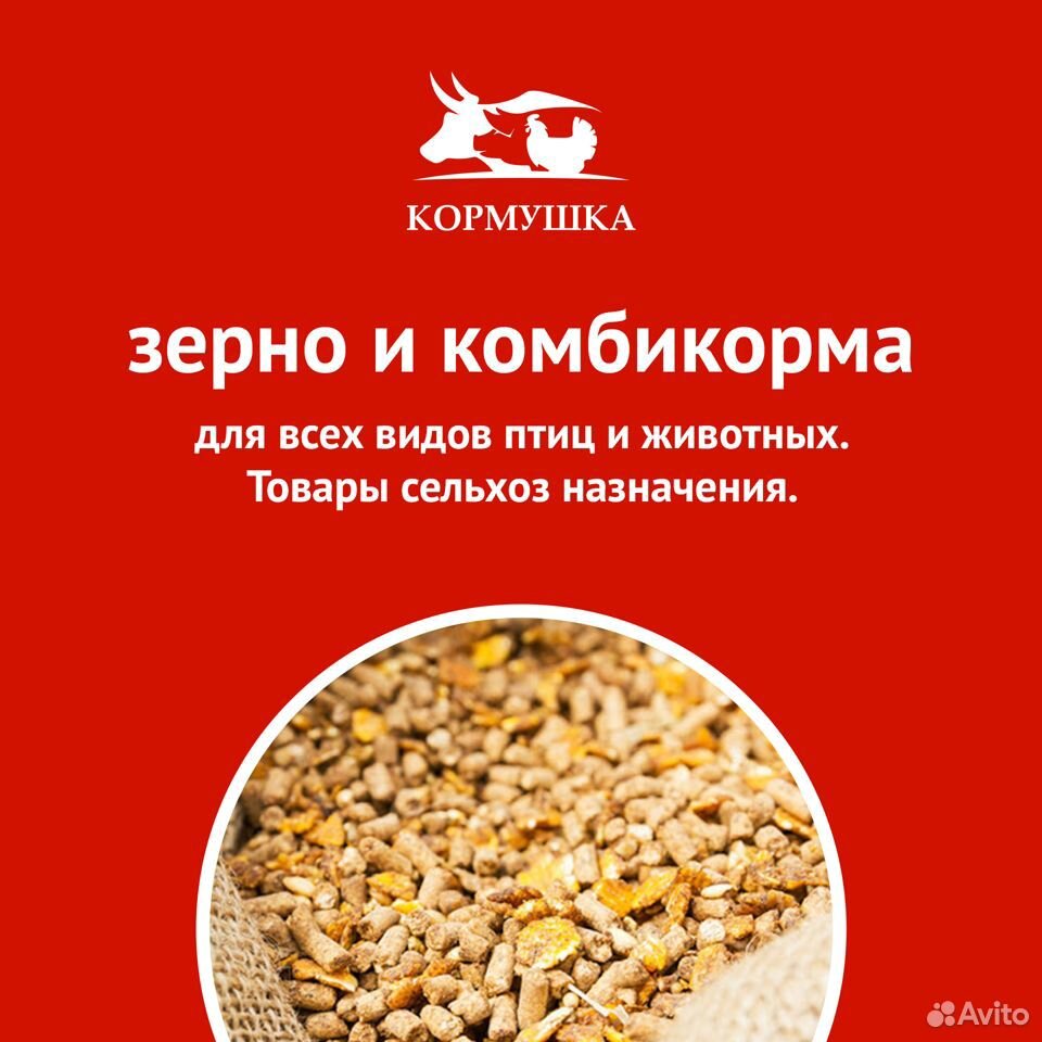 Комбикорм Для Сельскохозяйственной Птицы купить на Зозу.ру - фотография № 5