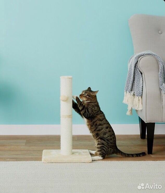 Как можно использовать кошку. Scratching Post for Cats. Как обшить когтеточку прямоугольную канатом видео.