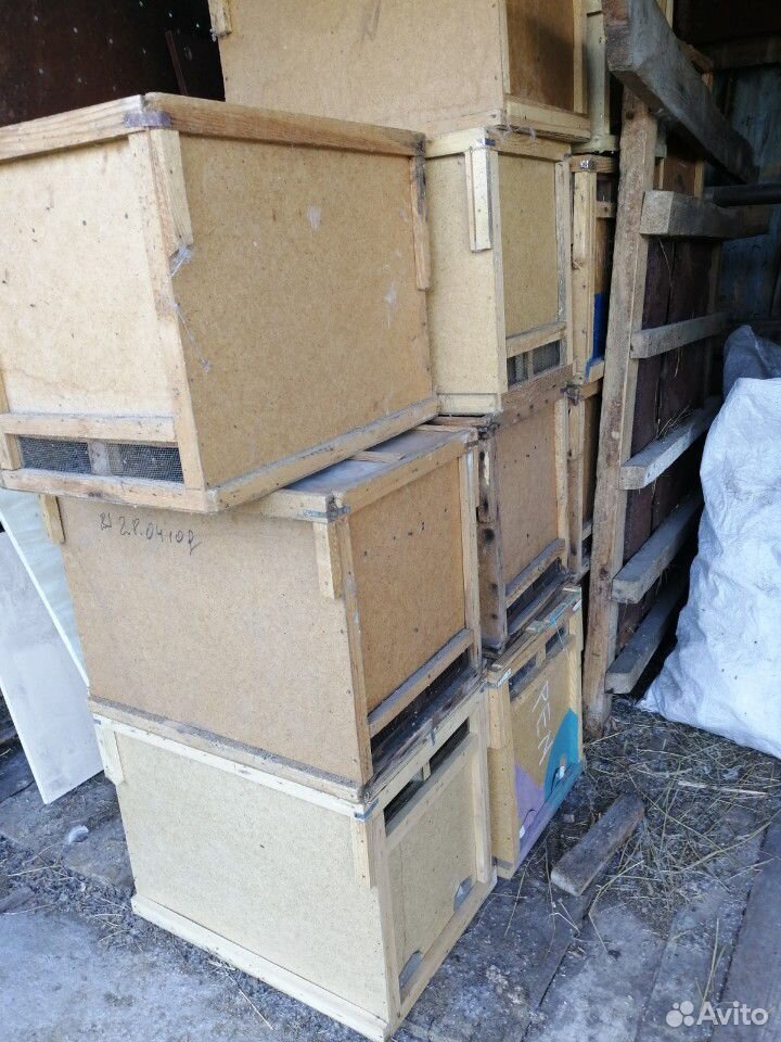 Ящики для пчелопакетов купить на Зозу.ру - фотография № 2