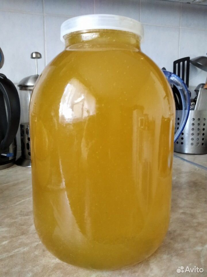 Продается свежий мед купить на Зозу.ру - фотография № 1