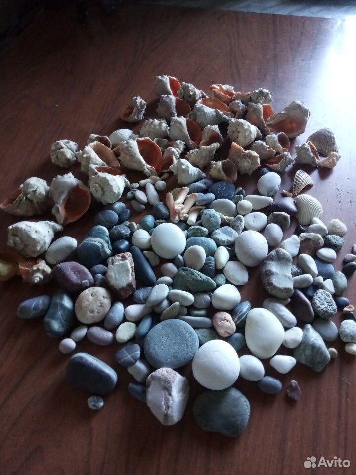 Морские камни и ракушки купить на Зозу.ру - фотография № 4