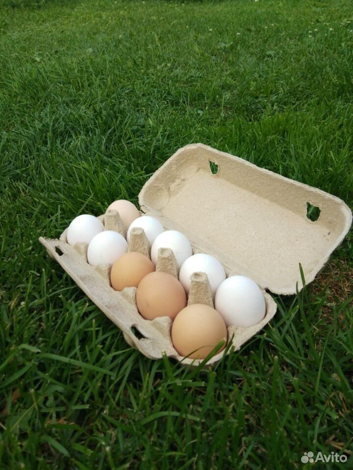 Продам куриные яйца крупные купить на Зозу.ру - фотография № 2