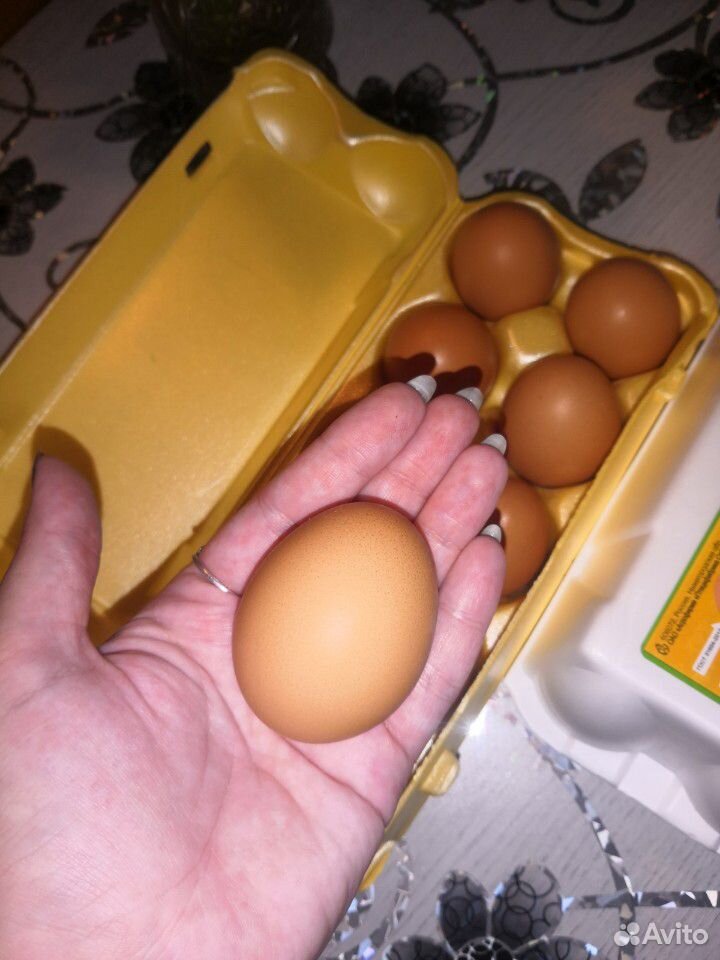 Яйца домашние куриные купить на Зозу.ру - фотография № 3