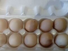 Яйца домашних курочек