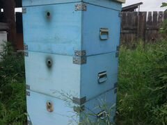 Оборудование для пчеловодства