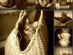 Лежанки и домики для кошек плетеные