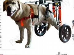 Инвалидная коляска для собак (тележка)