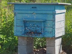 Улей для пчёл в хорошем состоянии, деревянный