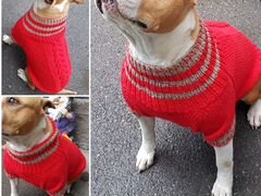 Вязанная одежда для собак