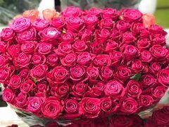 Цветы Пионы Розы 101 51 25