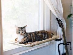Гамак для кота на окно