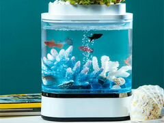 Акваферма xiaomi mini lazy fish tank