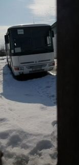 Автобус кароса