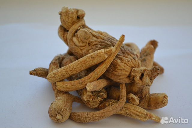 Женьшень корень (Panax). 10г