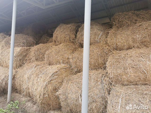 Сено в рулонах люцерна 2023