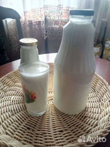 Кефир домашний из козьего молока