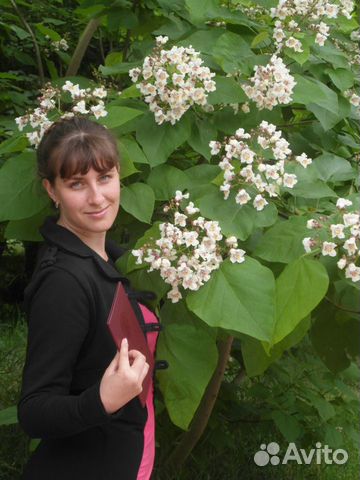 Репетитор по русскому. огэ.егэ