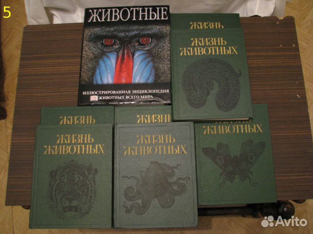 Животные,География,Медицина,Приготовление пищи