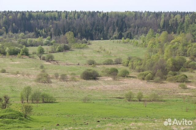 Участок 10 сот. (ИЖС)