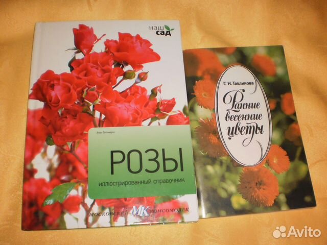 Книги Книги