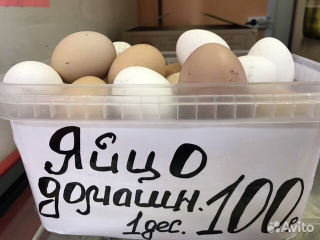 Купить продать яйцо