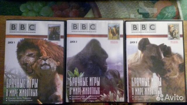 BBC DVD Коллекция