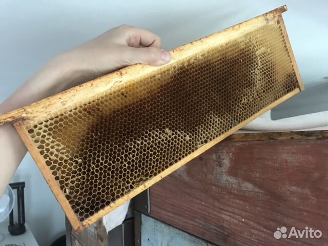 Пчеловодные магазины с сушью купить на Зозу.ру - фотография № 3