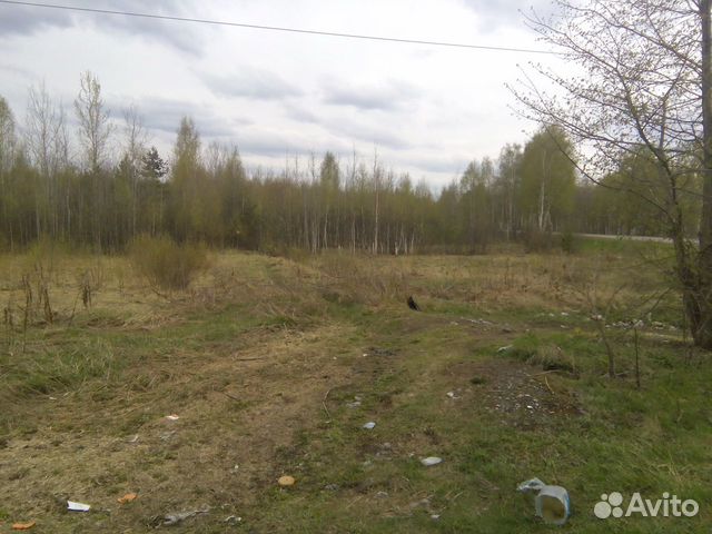 Участок 10 сот. (СНТ, ДНП) Участок 10 сот. (СНТ, ДНП)