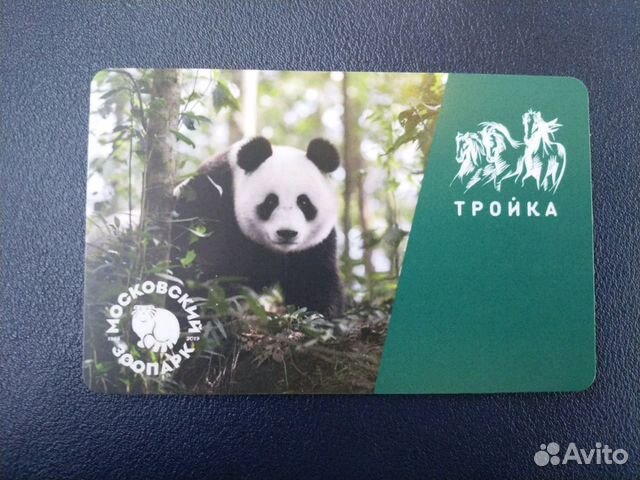 Билетики с животными. Пластиковая карточка в три медведя фото. Пластиковая карточка в три медведя в парк фото.