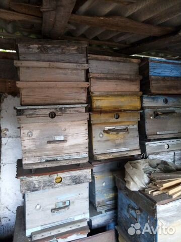 Продам улья пчеловодческие купить на Зозу.ру - фотография № 3