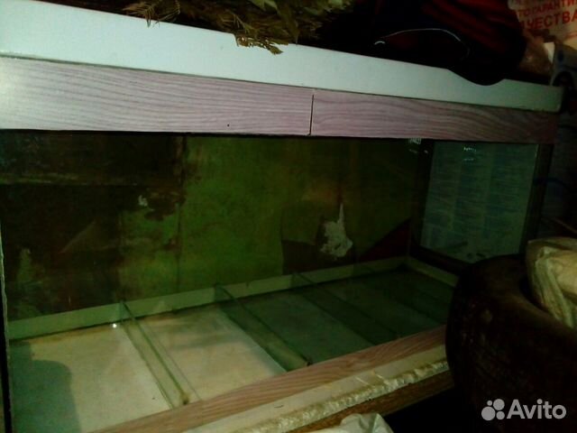 Продам аквариум на 200л купить на Зозу.ру - фотография № 1
