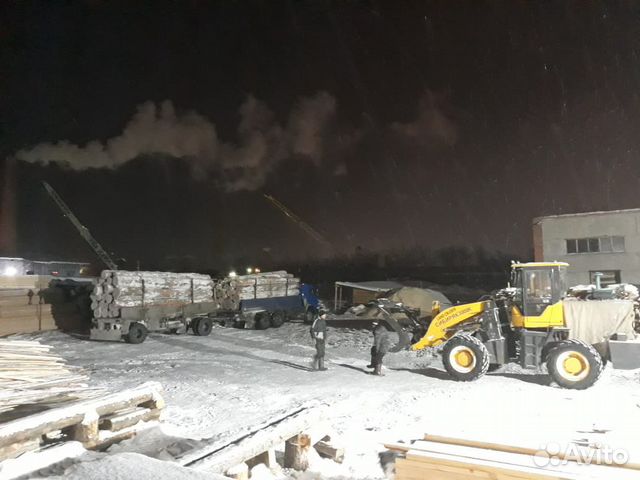 Сосна, кедр, лиственница