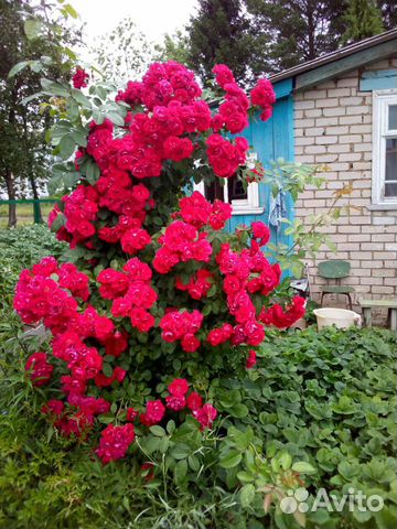 Дом 60 м² на участке 5 сот.