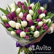 Опт тюльпаны из теплицы Опт тюльпаны из теплицы
