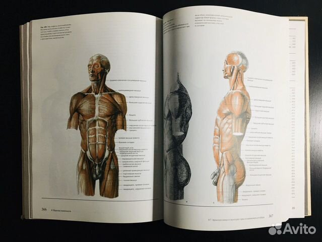 Книги по рисунку - Баммес, Ли