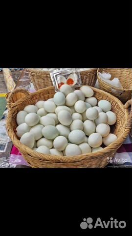 Утиные яйца купить на Зозу.ру - фотография № 1